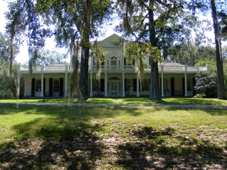 Linden
